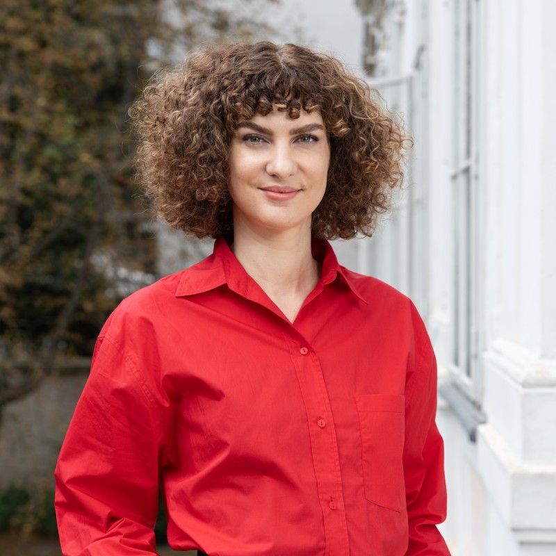 Laura Wiesböck: Blog