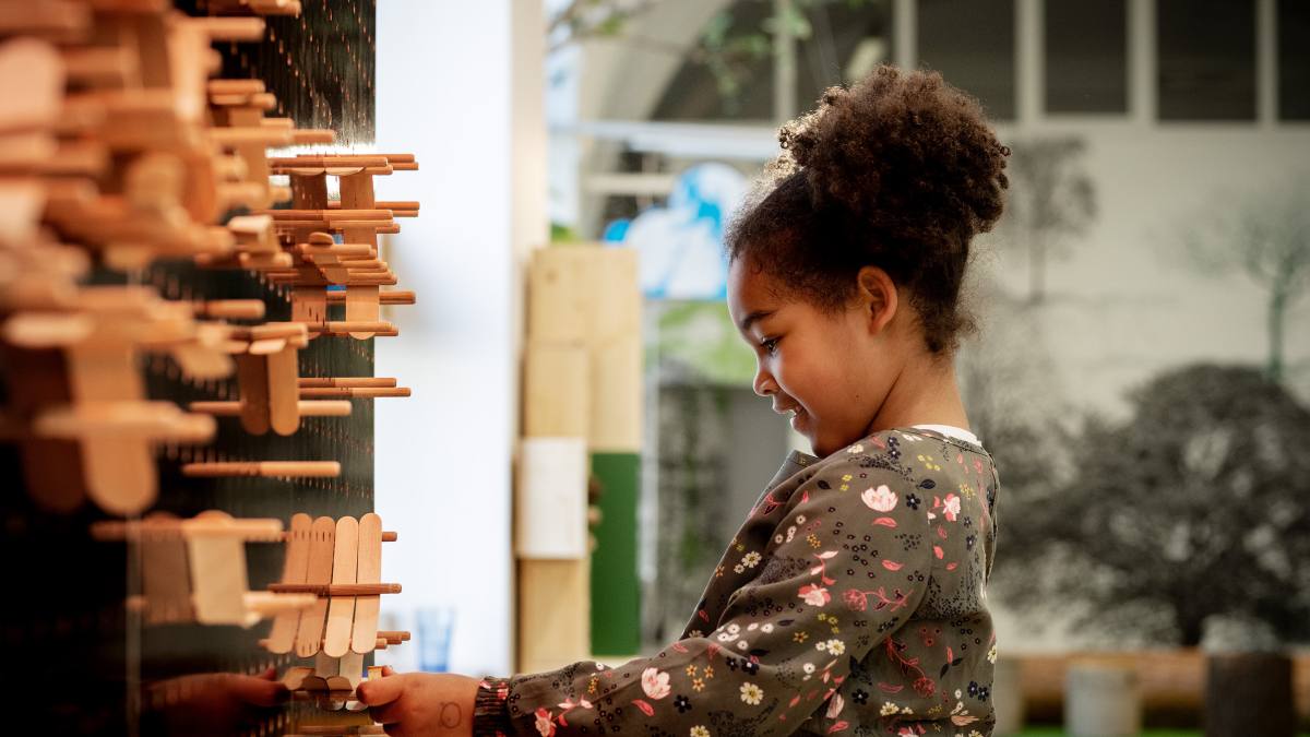 ZOOM Mitmachausstellung "ALLES HOLZ": ZOOM Mitmachausstellung "ALLES HOLZ"